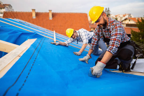 Best Roof Maintenance Services  in Jessup, MD